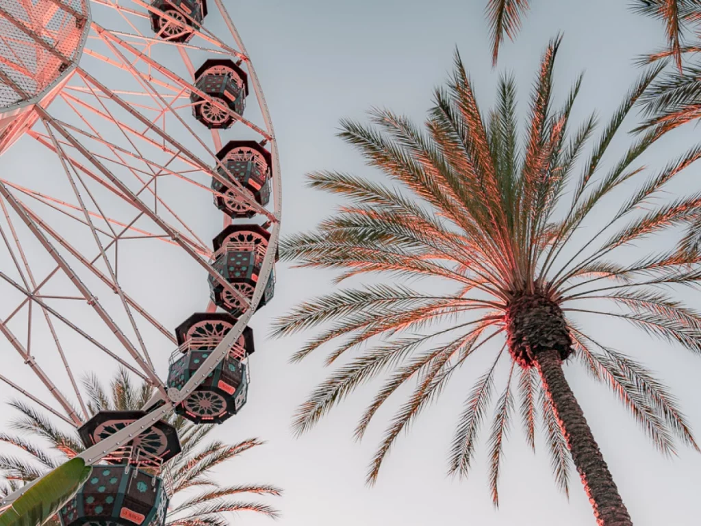 ferris wheel and palm tree at irvine spectrum