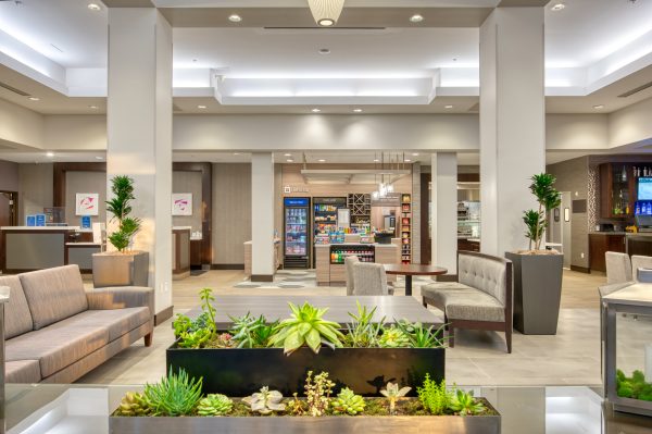 hilton garden inn irvine hotel lobby with succulent plants, lounge, store and view of front desk and partial view of the bar area