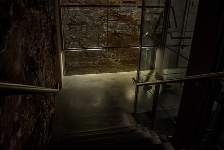 dak room with stairway