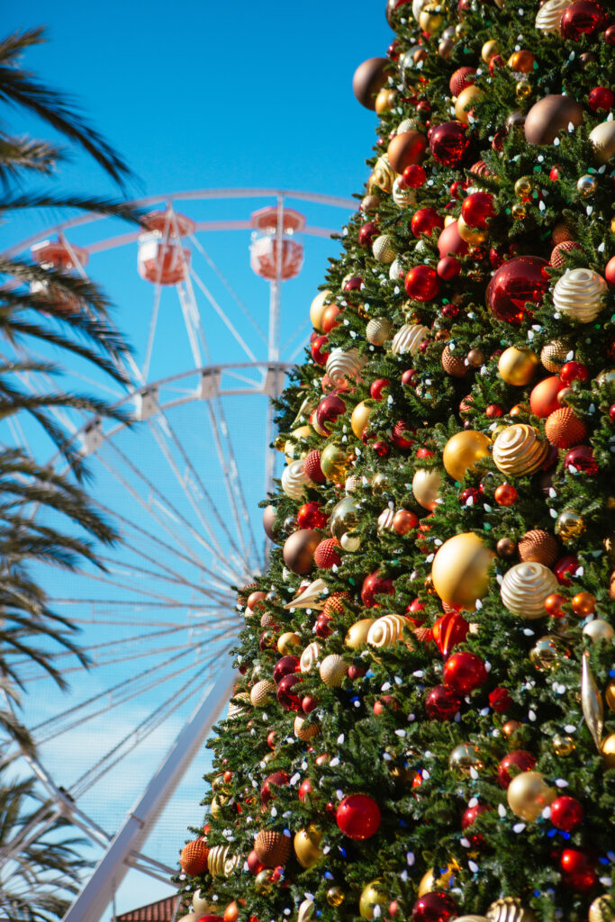 Irvine Spectrum Ice Skating Rink 2 5D3 0015