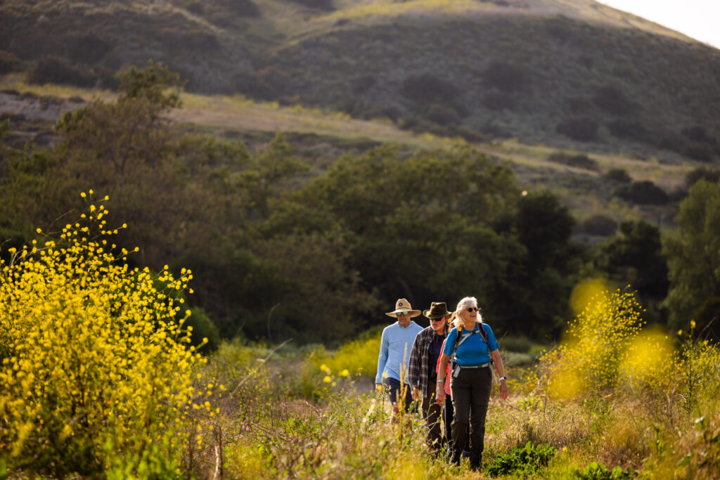 Hiking in Irvine 1 Bommer Canyon 1