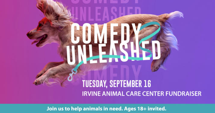 artwork for comedy unleashed irvine animal care center fundraiser event with dog