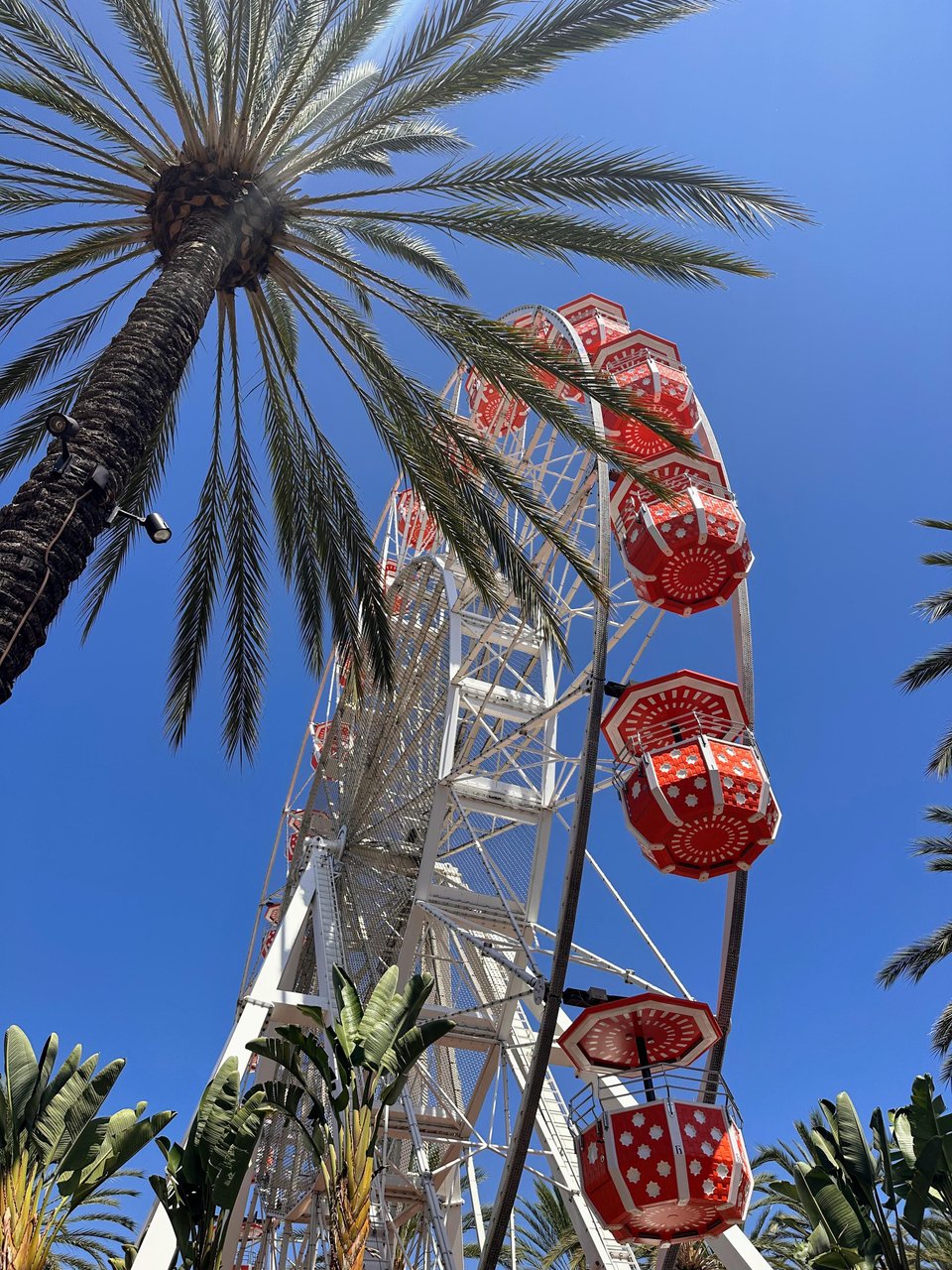 尔湾光谱中心 3 palm tree and orange ferris wheel at irvine spectrum
