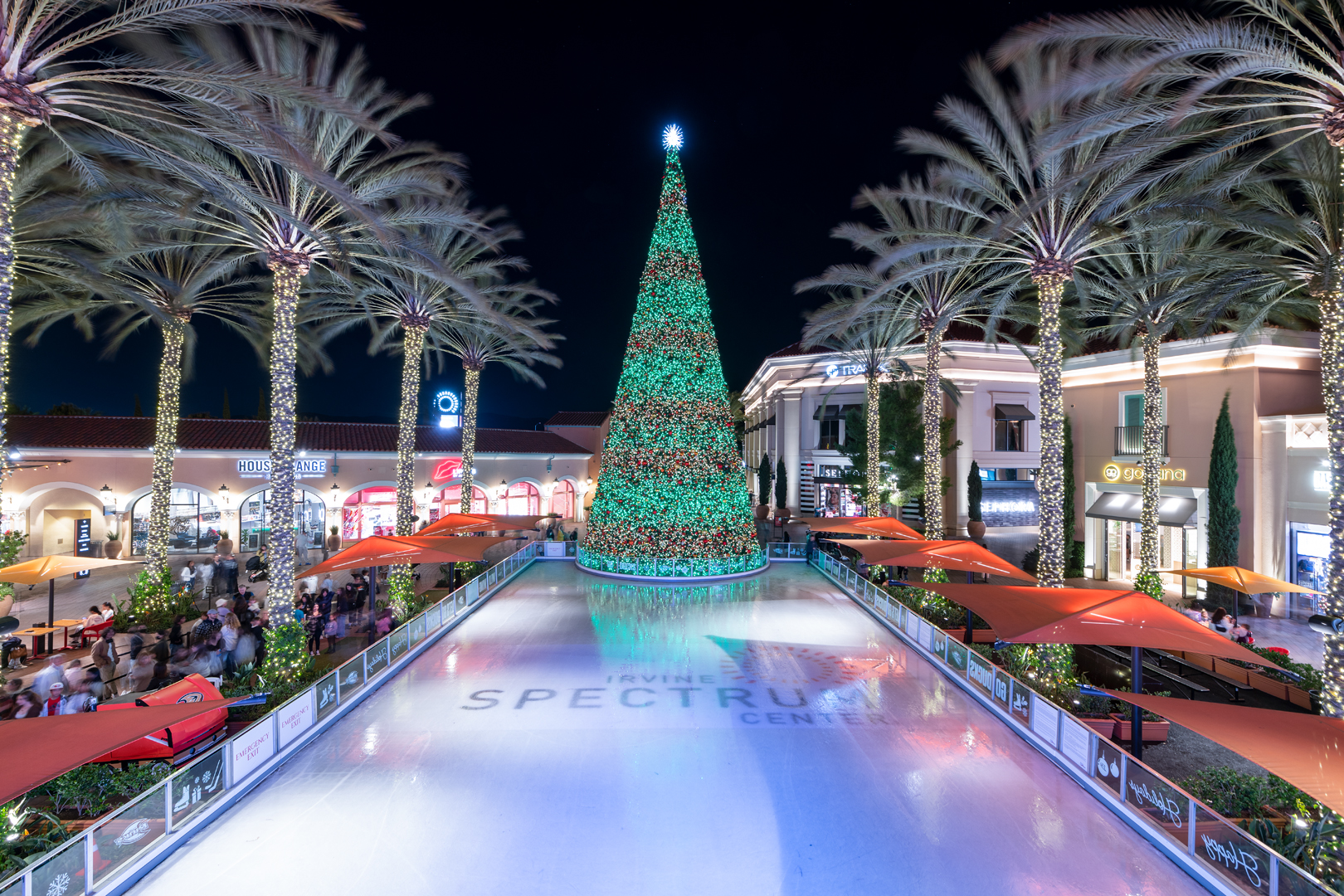 Events 5 ice skating rink at the irvine spectrum center with lighted christmas tree and palm trees at night