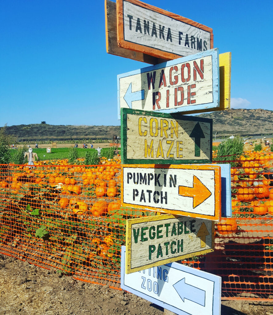 Tanaka Farms Irvine 2 signs showing attractions at tanaka farms