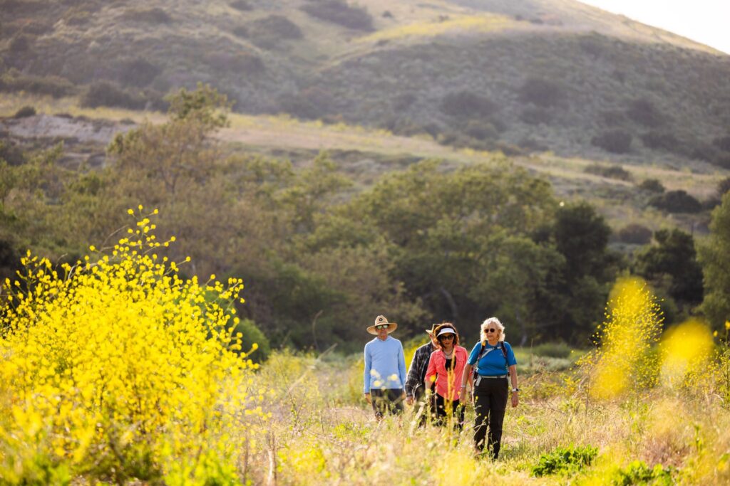 a group of four, two men and two women hiking along bommer canyon in irvine