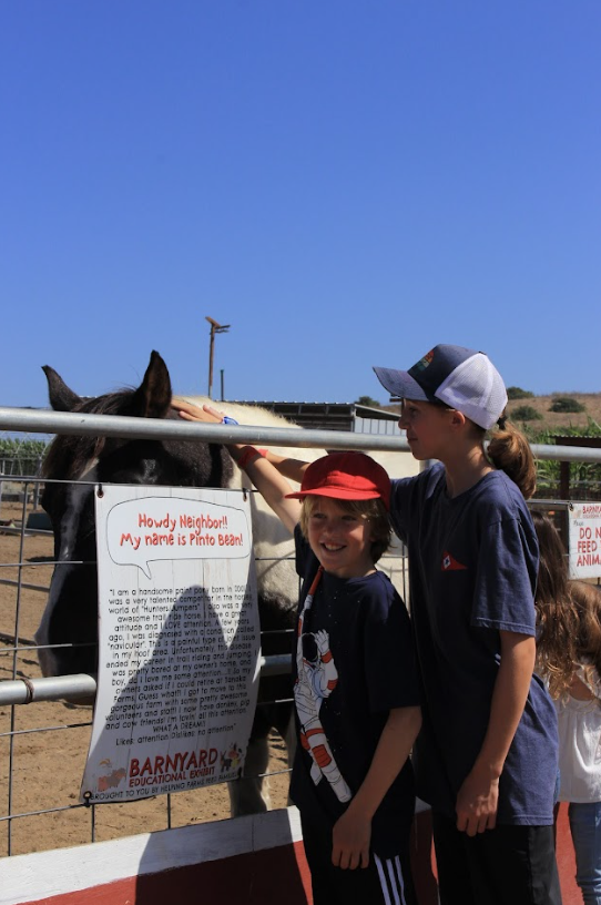 Tanaka Farms Irvine 4 a boy and girl patting a horse at tanaka farms