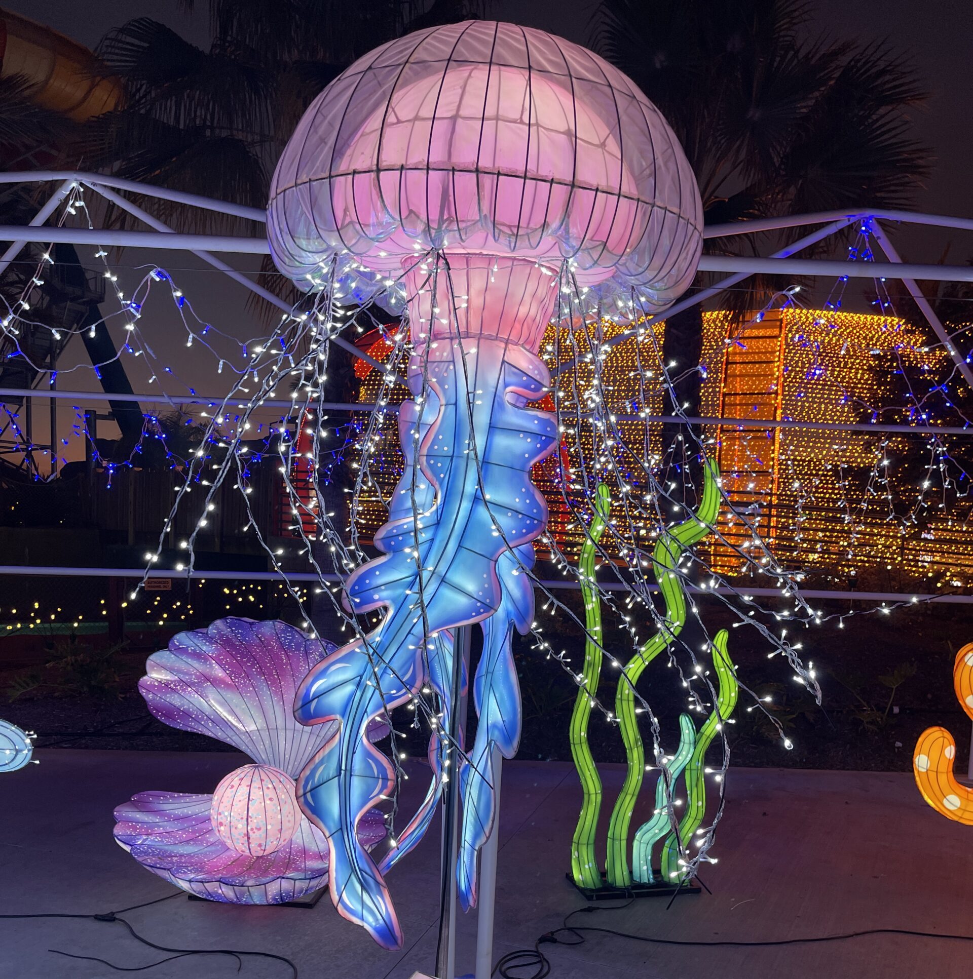 light up jellyfish at wild rivers