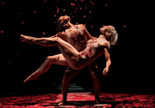two dancers in body suits giving a performance with red petals falling from the ceiling