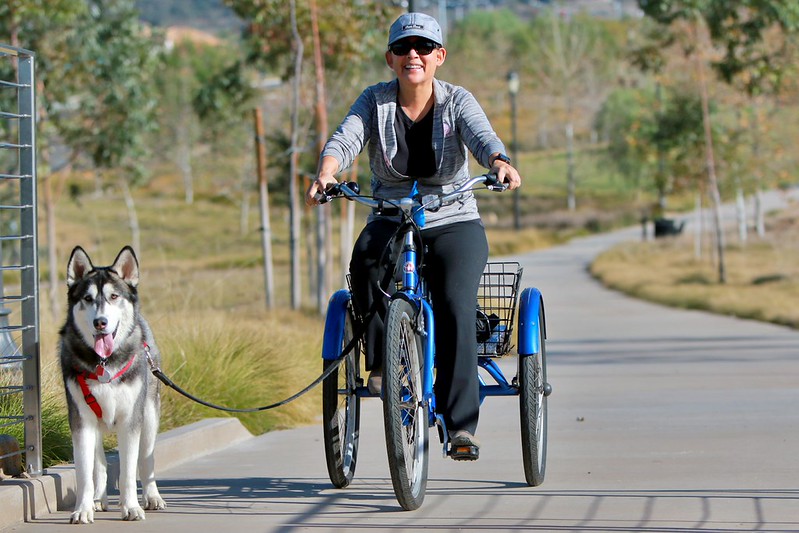 woman wearing sunglasses and grey cap and exercise gear with Siberian husky riding a tricycle on a paved trail