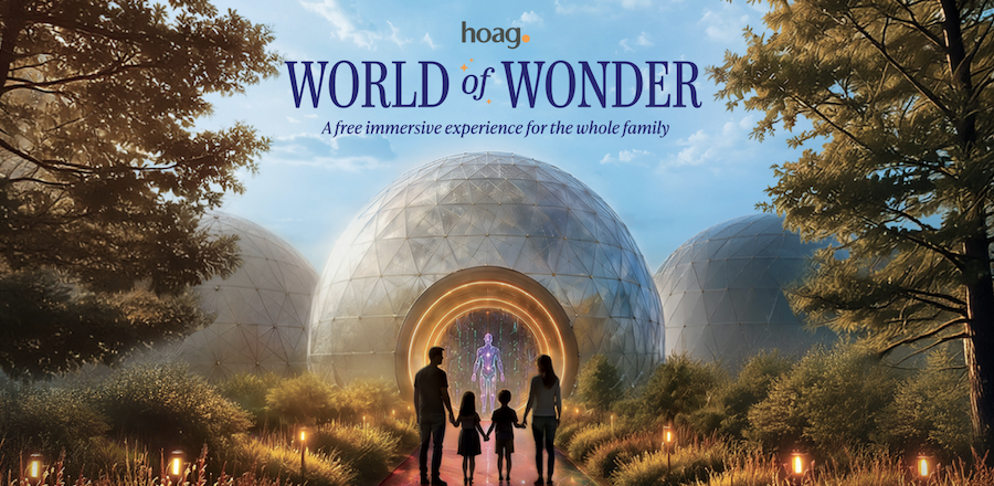 artwork of a family walking inside a round destination