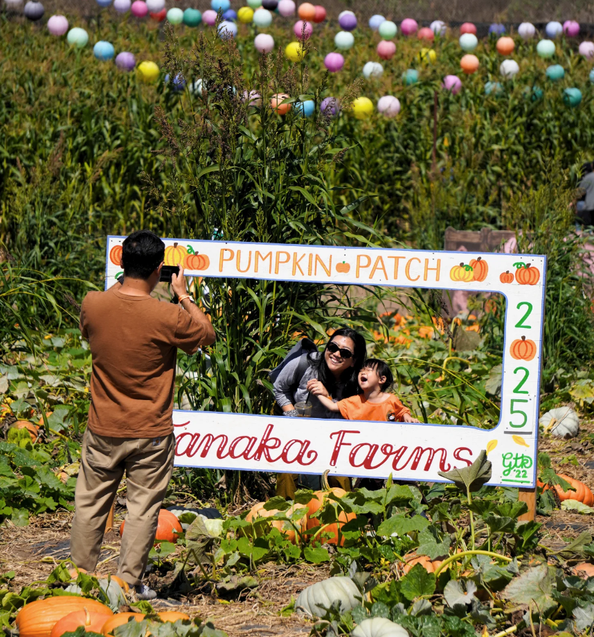 A mother and child pose for a photo as a man captures the moment in the middle of a pumpkin patch