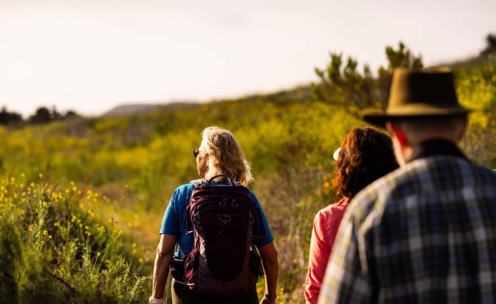 plan a holiday trip to irvine